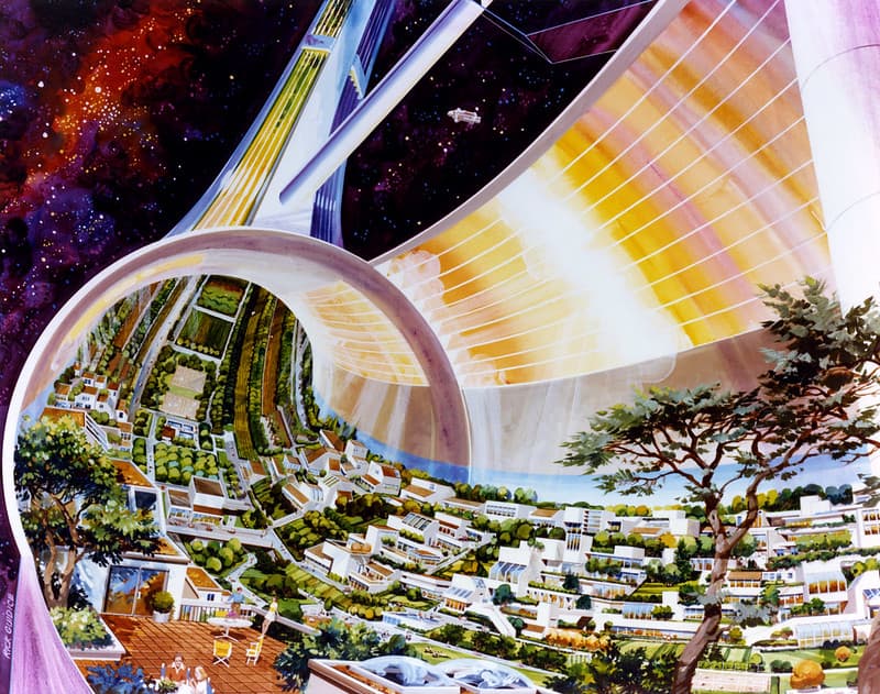 toroidal-colony